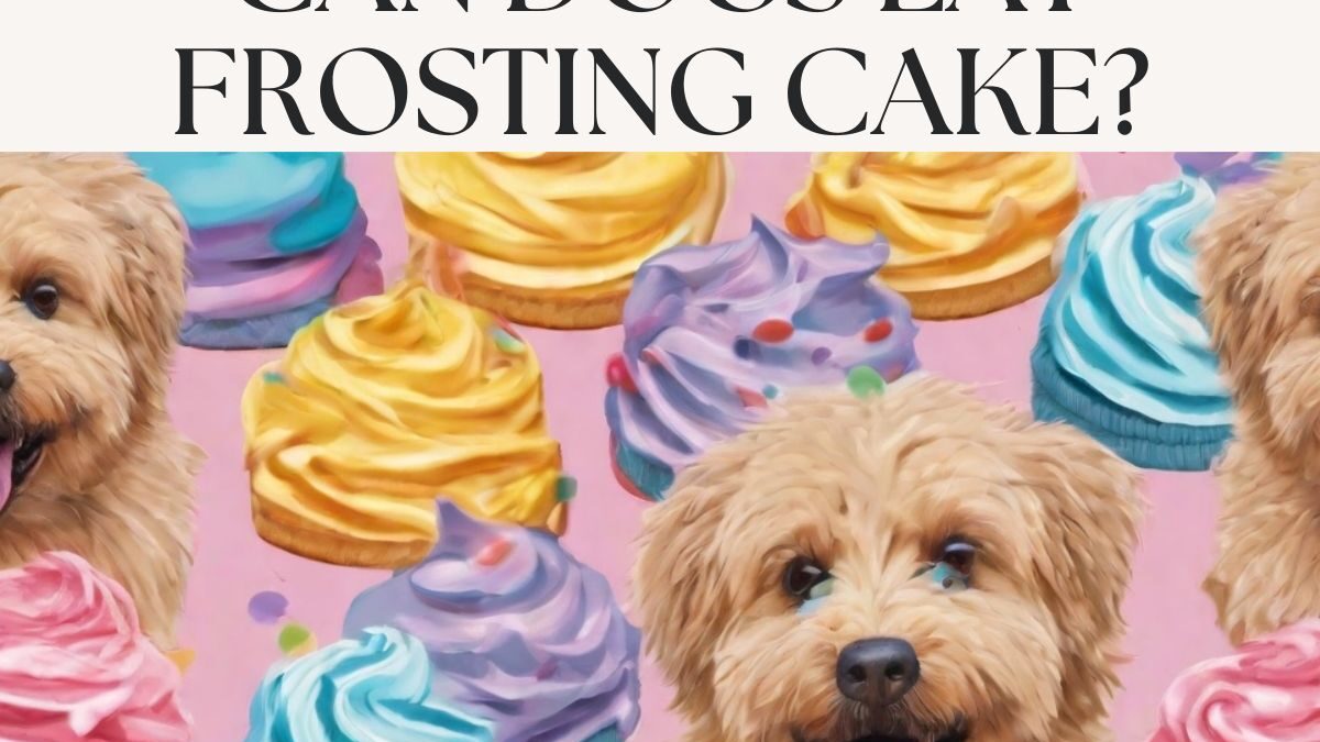 Can Dogs Eat Cake Frosting? Complete Guide