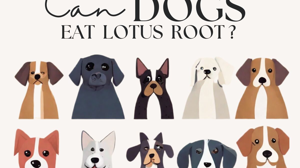 Can Dogs Eat Lotus Root? Exploring the Safety and Considerations