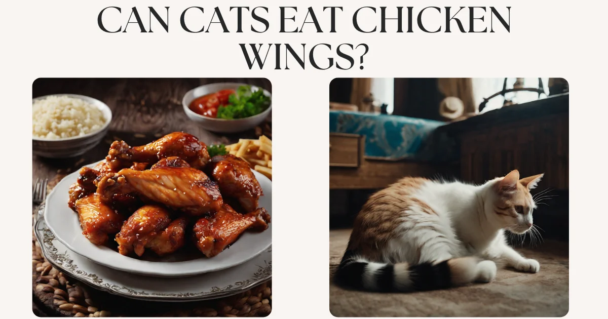 Can Cats Eat Chicken Wings? Revealing the Truth