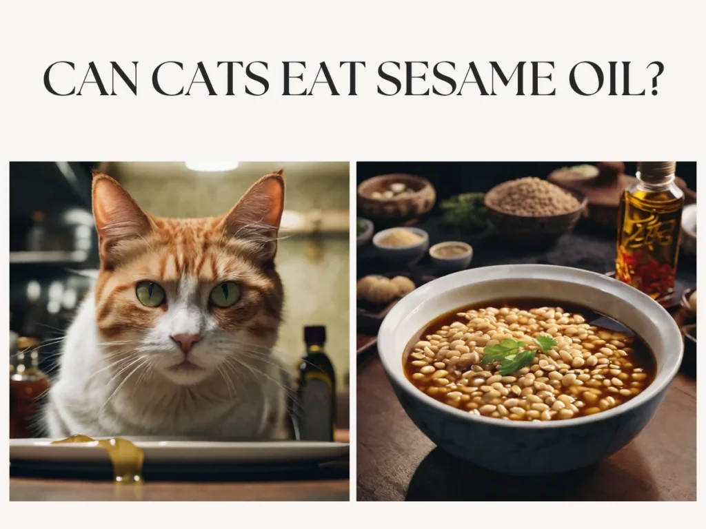 can cats eat sesame oil